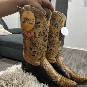 Women snake boots